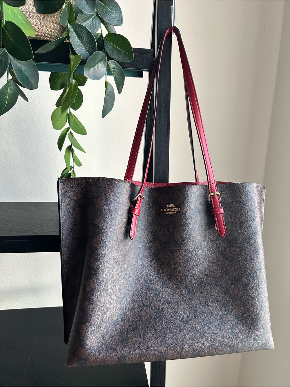 Coach 2021 Mollie Brown & Black Signature Tote with Red Handles.